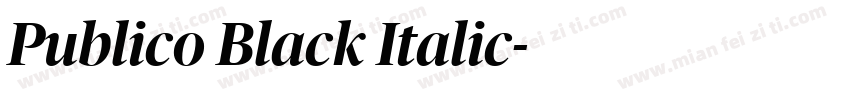Publico Black Italic字体转换